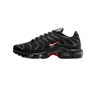 Nike Air max plus blackmetallic silver